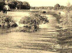 Sepia