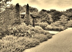 Szary + Sepia