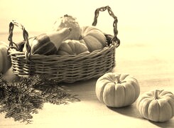 Szary + Sepia