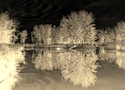 Sepia + Negatyw