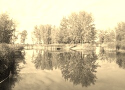 Sepia