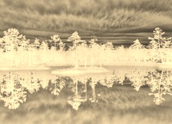 Sepia + Negatyw