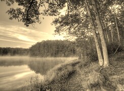 Szary + Sepia