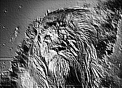 Skamielina