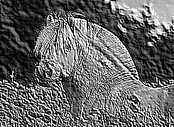 Skamielina