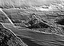 Skamielina