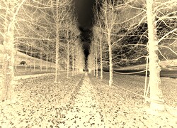 Sepia + Negatyw