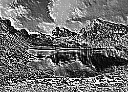 Skamielina