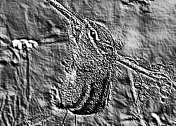 Skamielina