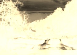 Sepia + Negatyw
