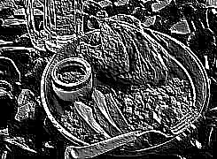 Skamielina