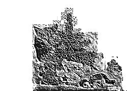 Skamielina