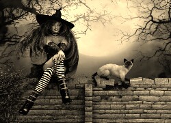 Szary + Sepia