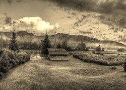 Sepia