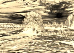 Sepia + Negatyw
