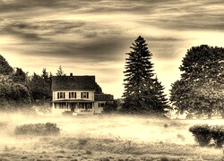 Szary + Sepia
