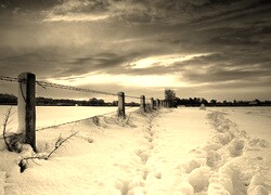 Szary + Sepia