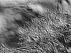 Skamielina