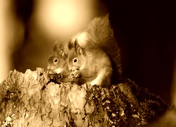 Sepia
