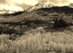 Sepia