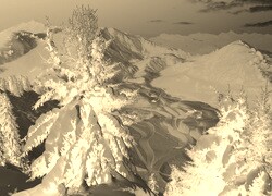 Sepia + Negatyw
