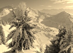Sepia
