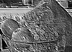 Skamielina