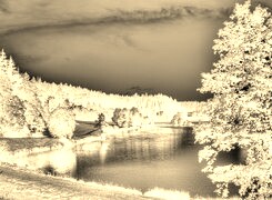 Sepia + Negatyw