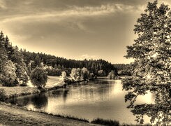 Szary + Sepia