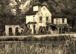 Szary + Sepia