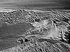 Skamielina