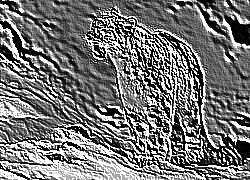 Skamielina