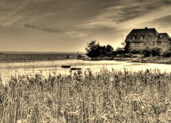 Szary + Sepia