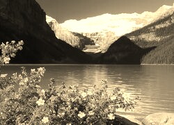 Szary + Sepia
