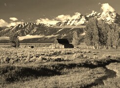 Szary + Sepia