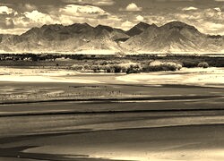 Szary + Sepia