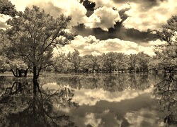 Sepia