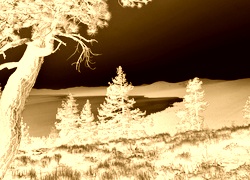 Sepia + Negatyw