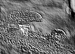 Skamielina