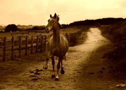 Sepia