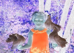 Negatyw