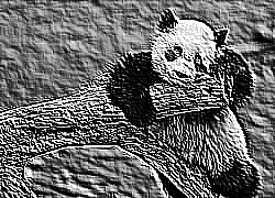 Skamielina