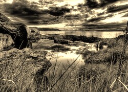 Szary + Sepia