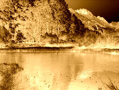 Sepia + Negatyw
