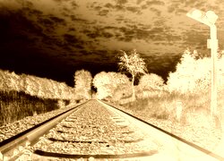 Sepia + Negatyw