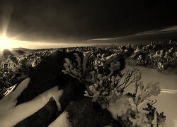 Szary + Sepia