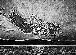 Skamielina
