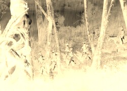 Sepia + Negatyw