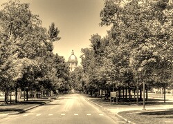 Szary + Sepia