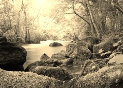 Sepia